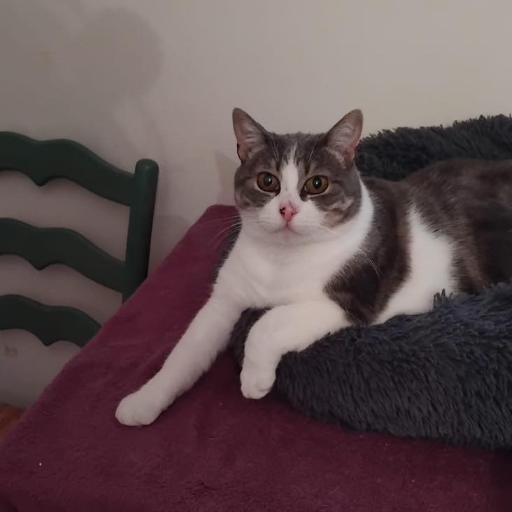 Mia (famille D’accueil)