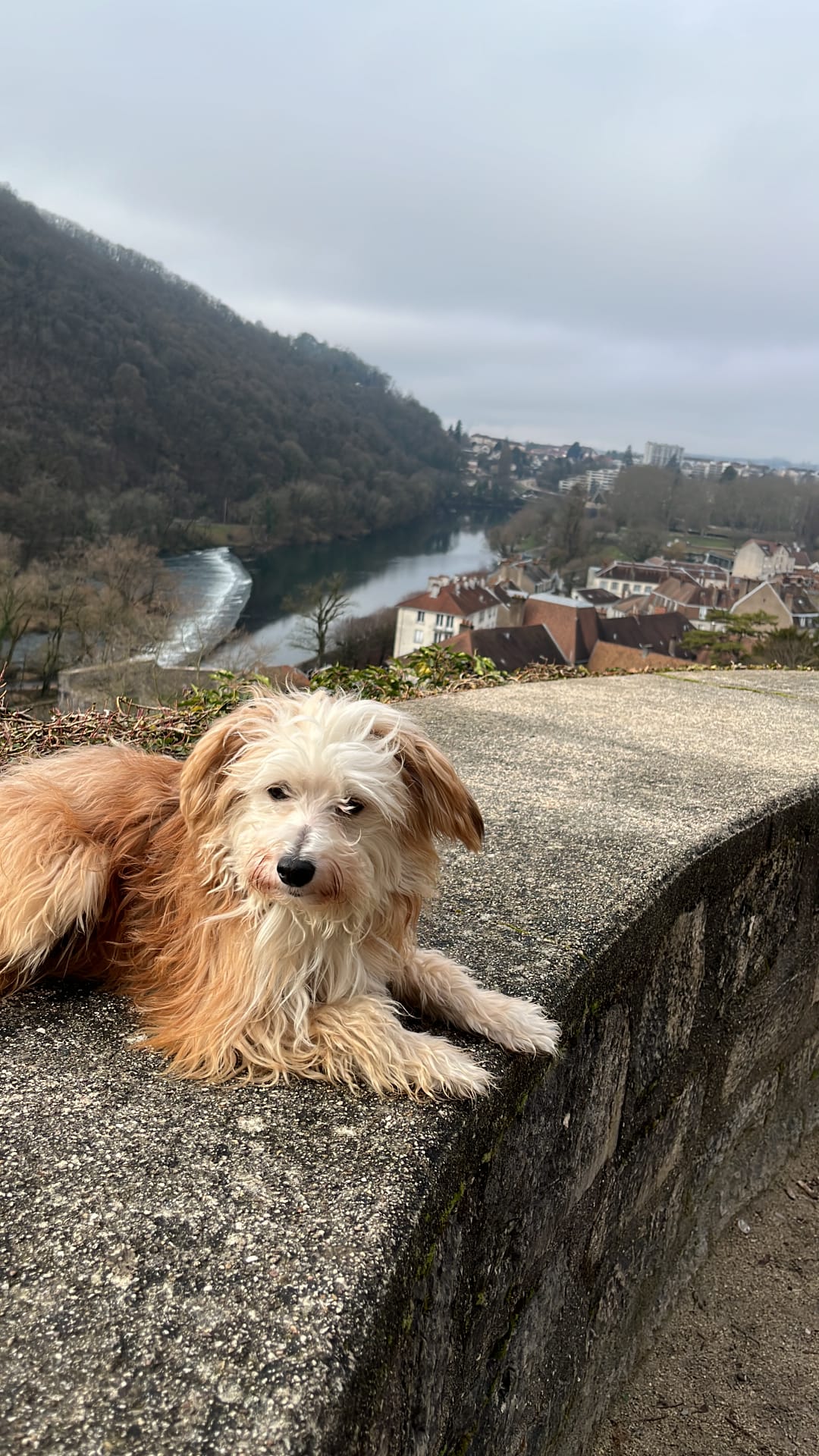 Teamy (visible en famille d'accueil)