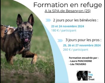 Formation au refuge par IN DOG WE TRUST